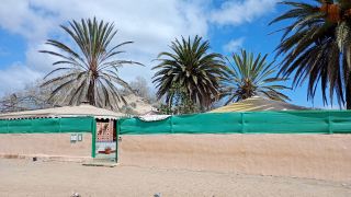 GC-Camello Safari (Maspalomas)-13.jpg